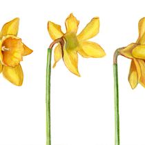 My project for course: Botanical Illustration with Watercolors. Traditional illustration, Fine Arts, Painting, Drawing, Watercolor Painting, and Botanical Illustration project by Jenni McCann - 01.08.2023