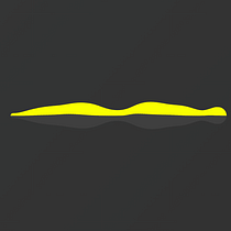 My project for course: Creative Coding: Making Visuals with JavaScript. Un projet de Motion design, Multimédia , et JavaScript de Alex Morris - 08.01.2023