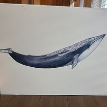 My project for course: Naturalist Illustration Techniques: Whales in Watercolor. Un progetto di Illustrazione tradizionale, Design di poster , Illustrazione digitale e Manga di Lydia Nathe - 09.01.2023