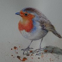 Mon projet du cours : Techniques artistiques d'aquarelle pour illustrer les oiseaux. Traditional illustration, Watercolor Painting, Realistic Drawing, and Naturalistic Illustration project by Patricia PICCO - 03.08.2023