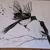My project for course: Animal Illustration with Charcoal and Ink. Drawing, Ink Illustration, and Naturalistic Illustration project by Sarah Cogan - 01.11.2023