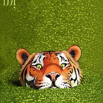 Mi proyecto del curso: Ilustración de fauna salvaje para libros infantiles. Un progetto di Illustrazione vettoriale, Illustrazione digitale e Illustrazione infantile di Camila Saldarriaga Rodriguez - 12.01.2023