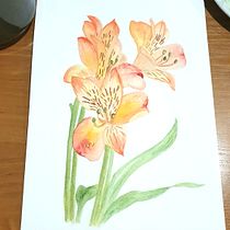 Mój projekt z kursu: Akwarela botaniczna: ilustracja anatomii kwiatów. Un progetto di Illustrazione tradizionale, Belle arti, Pittura, Disegno, Pittura ad acquerello e Illustrazione botanica di antonik89anna - 12.01.2023