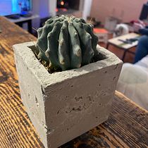 Il mio progetto del corso: Creazione di mobili in cemento per principianti. Een project van Craft, Meubelontwerp en -bouw, Interieurontwerp,  Interieur y DIY van anettdj - 13.01.2023