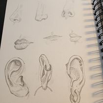 My project for course: Portrait Sketchbooking: Explore the Human Face. Sketching, Drawing, Portrait Drawing, Artistic Drawing, and Sketchbook project by Claudine Tomasino - 01.13.2023