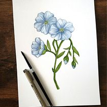 Mon projet du cours : Représentation de la nature à l'aquarelle et au stylo. Drawing, Watercolor Painting, Botanical Illustration, Traditional illustration, Fine Arts, and Painting project by Christine - 01.14.2023