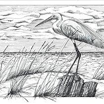 My project for course: Dip Pen and Ink Illustration: Capturing The Natural World. Sketching, Drawing, Artistic Drawing, Sketchbook, Ink Illustration, and Naturalistic Illustration project by cvilleneuve686 - 01.14.2023