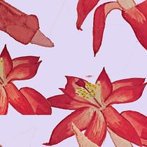 My project for course: Botanical Sketchbooking: A Meditative Approach. Un progetto di Illustrazione tradizionale, Bozzetti, Disegno, Pittura ad acquerello, Illustrazione botanica e Sketchbook di Birgit Pruess - 15.01.2023