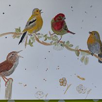 Mein Abschlussprojekt für den Kurs: Illustriere Vögel mit expressiven Aquarelltechniken. Traditional illustration, Watercolor Painting, Realistic Drawing, and Naturalistic Illustration project by morena.koebke - 01.16.2023
