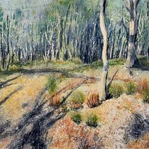 My project for course: Painting Realistic Watercolor Landscapes. Pintura, Esboçado, Pintura em aquarela, Ilustração naturalista, e Artes plásticas projeto de Jane - 17.01.2023
