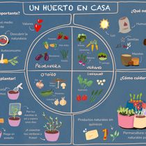 Mi proyecto del curso: Ilustración de infografías para público infantil y juvenil. Information Design, Infographics, Children's Illustration, Communication, and Children's Literature project by Nerina Vallejo Verdi - 11.09.2022