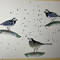 My project for course: Artistic Watercolor Techniques for Illustrating Birds. Traditional illustration, Watercolor Painting, Realistic Drawing, and Naturalistic Illustration project by jcspender - 01.18.2023