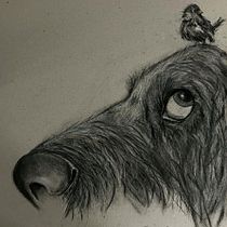 Meu projeto do curso: Ilustração de animais com carvão vegetal e tinta. Fine Arts, Drawing, Ink Illustration, and Naturalistic Illustration project by Cesar Lacerda - 01.19.2023