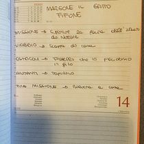 Il mio progetto del corso: MARGONE IL GATTO FIFONE. Projekt z dziedziny Pisanie, Stor, telling, Ilustracje dla dzieci, Kreat, wne zabaw, z dziećmi, Narracja, Beletr, st, ka, Kreat, wne pisanie i Literatura dziecięca użytkownika cla-vero - 19.01.2023