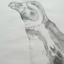 Realistic animal portraits: Penguin. Traditional illustration, Pencil Drawing, Drawing, and Naturalistic Illustration project by laraoleart - 01.20.2023