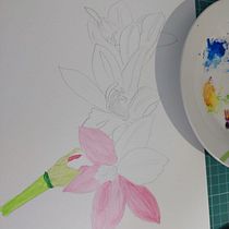 Meu projeto do curso: Aquarela para aplicação em produtos: monetize sua arte. Watercolor Painting, Artistic Drawing, Botanical Illustration, and Naturalistic Illustration project by Adriana Assanuma - 01.21.2023