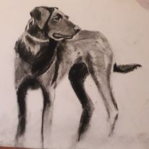 Mi proyecto del curso: Ilustración de animales con carboncillo y tinta. Fine Arts, Drawing, Ink Illustration, and Naturalistic Illustration project by Eloisa Garcia Garcia - 01.21.2023