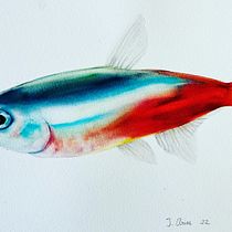Mi proyecto del curso: Ilustración de universos marinos en acuarela. Een project van Traditionele illustratie, Schilderij, Aquarelschilderen y Naturalistische illustratie van julioangmarbella - 21.01.2023
