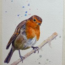 My project for course: Artistic Watercolor Techniques for Illustrating Birds. Traditional illustration, Watercolor Painting, Realistic Drawing, and Naturalistic Illustration project by Marion Clark - 01.21.2023