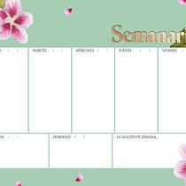 Mi proyecto del curso: Ilustración botánica con acuarela. Traditional illustration, Fine Arts, Painting, Drawing, Watercolor Painting, and Botanical Illustration project by Florencia Santillán - 01.19.2023