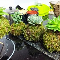Kokedamas con suculentas . Arts, Crafts, Interior Design, L, scape Architecture, Decoration, DIY, Floral, and Plant Design project by Javi Gomera - 01.21.2023