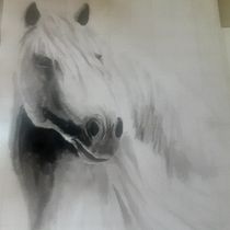 My project for course: Animal Illustration with Charcoal and Ink. Fine Arts, Drawing, Ink Illustration, and Naturalistic Illustration project by thepolchetpaddock - 01.22.2023