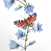 My project for course: Naturalistic Illustration in Watercolor and Gouache. Un proyecto de Bellas Artes, Pintura, Pintura a la acuarela, Ilustración botánica, Ilustración naturalista				 y Pintura gouache de Marjaana Sivonen - 22.01.2023