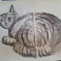 Mi proyecto del curso: Ilustración de animales con carboncillo y tinta. Fine Arts, Drawing, Ink Illustration, and Naturalistic Illustration project by safdieruth - 01.22.2023