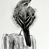 Lesson in values. Traditional illustration, Realistic Drawing, and Naturalistic Illustration project by oldriska.chutna - 01.23.2023