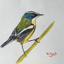 Mi proyecto del curso: Acuarela artística para ilustración de aves. Traditional illustration, Watercolor Painting, Realistic Drawing, and Naturalistic Illustration project by Maria Rojas - 01.23.2023