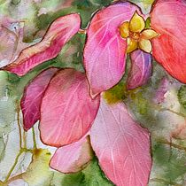 My project for course: Artistic Floral Watercolor: Connect with Nature. Ilustração tradicional, Pintura, Pintura em aquarela e Ilustração botânica projeto de Florine Porter - 03.01.2023