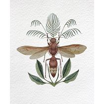Meu projeto do curso: Ilustração naturalista com guache e aquarela / Vespa Crabro. Fine Arts, Painting, Watercolor Painting, Botanical Illustration, Naturalistic Illustration, and Gouache Painting project by Andrea Tostes - 01.24.2023