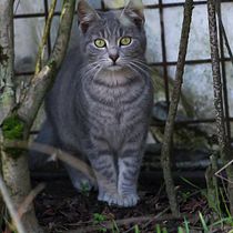 La bellezza delle piccole cose. Photograph, Digital Photograph, Photographic Composition, and Outdoor Photograph project by Luna Spirito Di Lupo - 01.22.2023