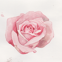 Il mio progetto del corso: Tecniche applicate di illustrazione ad acquerello. Un progetto di Illustrazione tradizionale, Belle arti, Pittura e Pittura ad acquerello di Giorgia Bianco - 01.01.2023