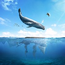 INVERTEAD WTER. Photograph, Photograph, Post-production, VFX, Photo Retouching, Fine-Art Photograph, Photographic Composition, and Photomontage project by Gabriel Mustache - 01.26.2023