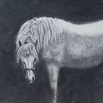 Mijn project van de cursus: Artistiek portretteren met houtskool: sferen creëren. Ilustração tradicional, Artes plásticas, Desenho, Desenho de retrato, Desenho realista, e Desenho artístico projeto de debbykicken - 23.01.2023