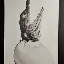My project for course: Naturalistic Animal Drawing with Graphite Pencil. Ilustração tradicional, Desenho a lápis, Desenho e Ilustração naturalista projeto de Kristína Bujnovská - 15.01.2023