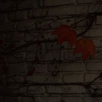 "Buenos Habitos".. Writing, Creativit, Stor, telling, Narrative, and Creative Writing project by Martina Oliver - 01.26.2023