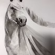 My project for course: Expressive Animal Portraits in Watercolor. Ilustração tradicional, Pintura em aquarela, Desenho realista e Ilustração naturalista projeto de Kirsten Binda - 25.01.2023