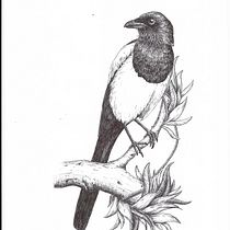 My project for course: Naturalist Illustration with Ballpoint Pen . Traditional illustration, Drawing, Realistic Drawing, and Naturalistic Illustration project by mirhayasu - 01.28.2023