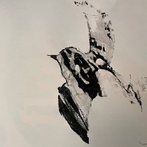 Mein Abschlussprojekt für den Kurs: Tiere zeichnen mit Kohle und Tusche. Fine Arts, Drawing, Ink Illustration, and Naturalistic Illustration project by maike-knaus - 01.28.2023