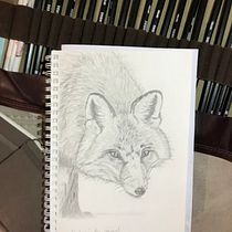 Mon projet du cours : Dessin naturaliste d'animaux au crayon graphite. Ilustração tradicional, Desenho a lápis, Desenho e Ilustração naturalista projeto de cobristan - 25.01.2023