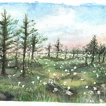 Il mio progetto del corso: Paesaggi incantevoli ad acquerello: dipingi con la luce. Un projet de Peinture , et Aquarelle de Daniela G - 29.01.2023