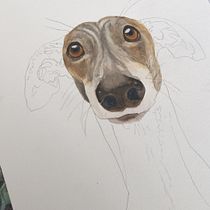 Mi proyecto del curso: Retratos expresivos de animales en acuarela. Ilustração tradicional, Pintura em aquarela, Desenho realista e Ilustração naturalista projeto de Iván Muerte - 22.01.2023