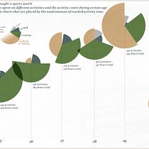 My project for course: Data Visualization and Information Design: Create a Visual Model Ein Projekt aus dem Bereich Informationsdesign und Infografik von Emils Mortulevs - 28.01.2023