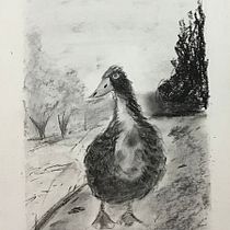 Mi proyecto del curso: Ilustración de animales con carboncillo y tinta. Fine Arts project by Fabiola Rodríguez Márquez - 01.30.2023