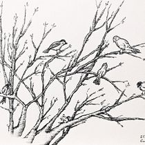 Mój projekt z kursu: Sztuka szkicowania: przekształć szkice w dzieła sztuki Ein Projekt aus dem Bereich Traditionelle Illustration, Bleistiftzeichnung, Zeichnung und Sketchbook von Ewa Jacyno - 30.01.2023