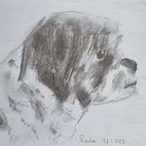 Mijn project van de cursus: Leer dieren illustreren met houtskool en inkt. Fine Arts, Drawing, Ink Illustration, and Naturalistic Illustration project by Gusta Rinzema - 01.30.2023