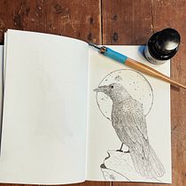 Mon projet du cours : Dessin artistique à l'encre. Ilustração tradicional, Desenho, Desenho artístico e Ilustração com tinta projeto de Fabien - 30.01.2023