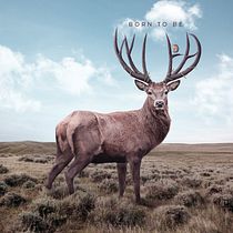 My project for course: Fantastical Photomontage and Illustrations in Photoshop. Photograph, Collage, Photo Retouching, Digital Illustration, Photographic Composition, and Photomontage project by Magdalena Palahanova - 01.30.2023